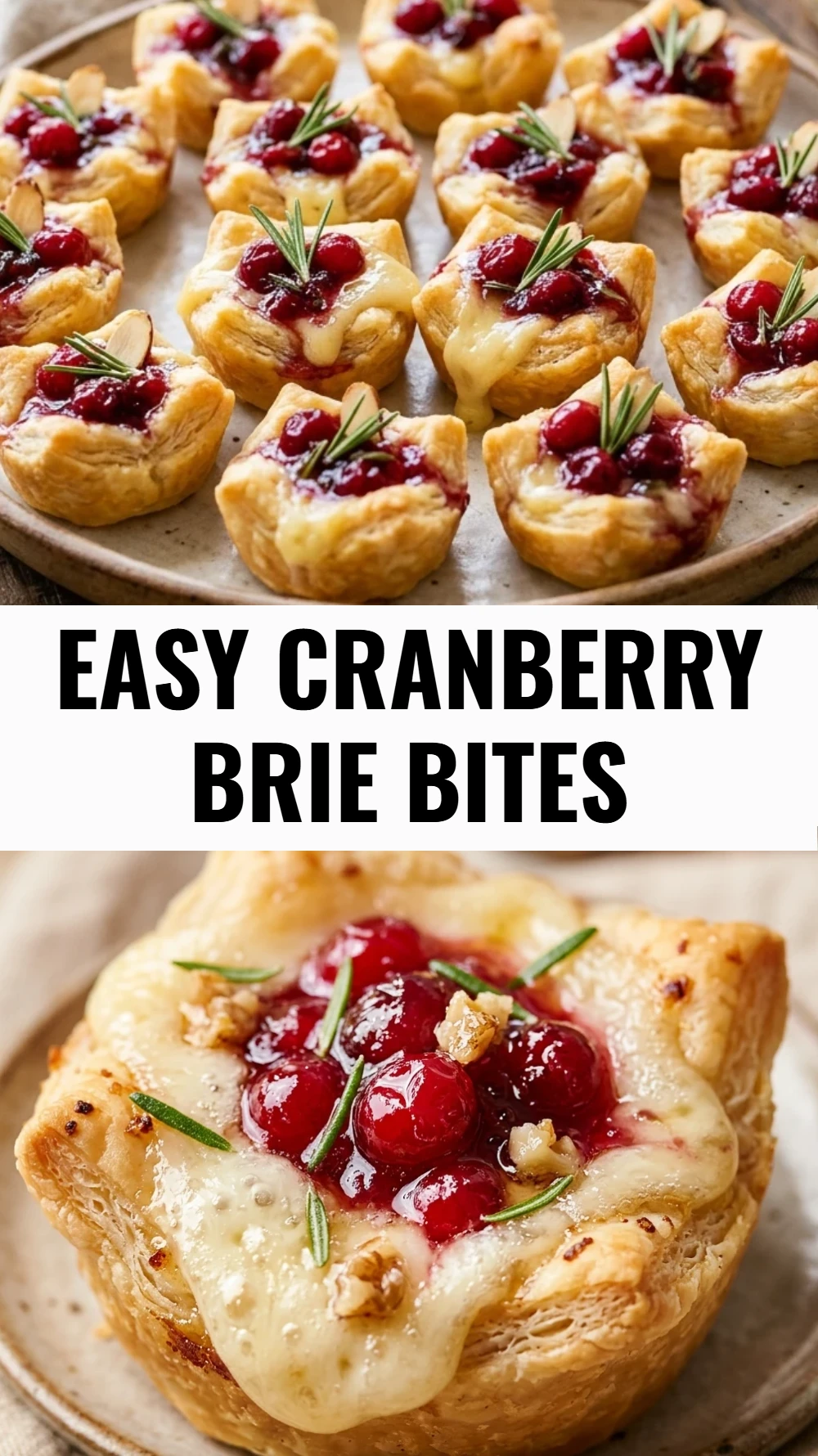 Easy Cranberry Brie Bites